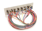 50410-Back.jpg