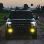 50482-D-Series_SAE_Fog_YellowWhite_Pair-Lifestyle-02.jpg