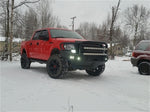 613R5B_3.jpg