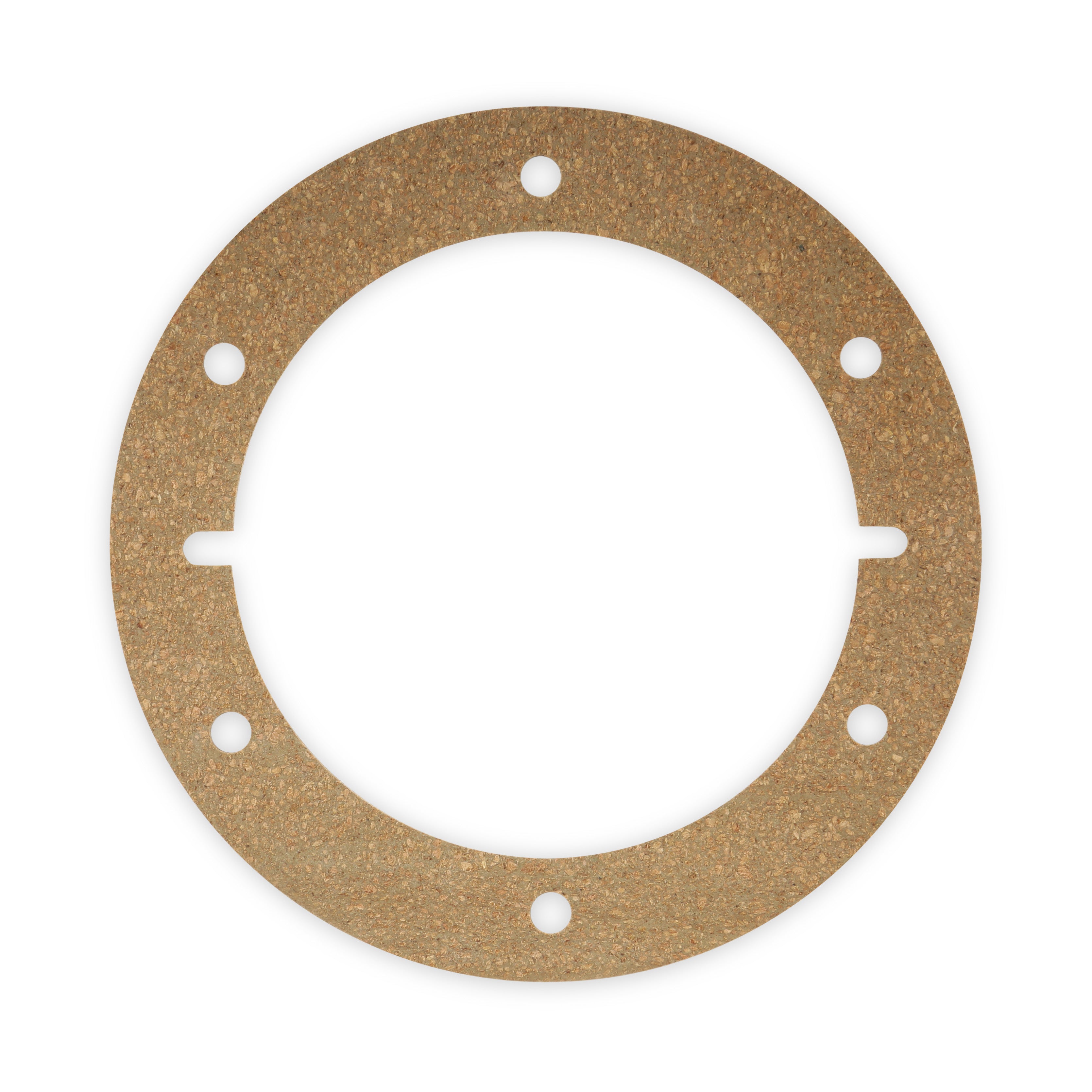Earl's Gasket Holley Fuel Cell EFI Fuel Pump module w/ 6-Bolt Flange
