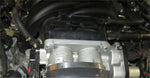 729946_in.jpg