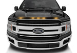 753096-G1_17-19_F150_shadow_black.jpg