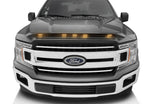 753096-J7_17-19_F150_MagneticGreyMetallic.jpg