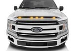 753096-Z1_17-19_F150_Oxford_White.jpg