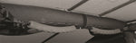 769101.jpg