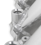 820041_04.jpg