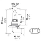 9005P50_PT01.jpg