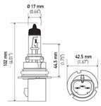 9007_YL_PT01.jpg