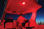 959950111_PT32.jpg