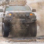 99034B_10.jpg