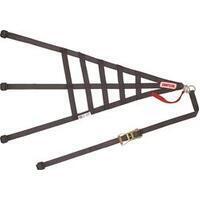 Simpson Safety DNC5RRP Simpson DNC5RRP Driver Net Corvette Right Simpson Safety DNC5RRP