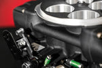 A84A1419 copy.jpg
