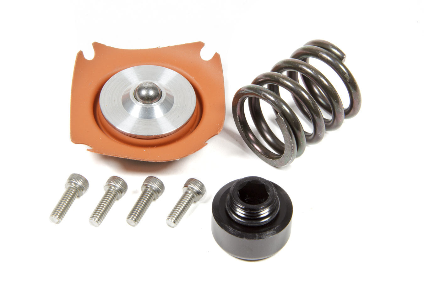 Aeromotive Fuel System 13015 Regulator Rebuild Kit - 13305 35-75psi .313 Seat Aeromotive Fuel System 13015