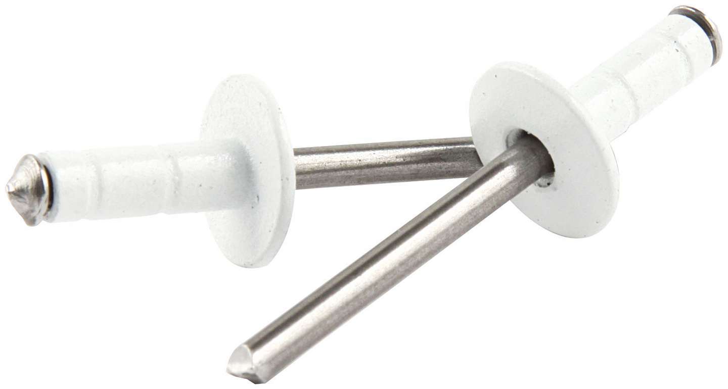 Allstar Performance ALL18092 Med Hd Rivet White 250pk Multi Grip Allstar Performance ALL18092