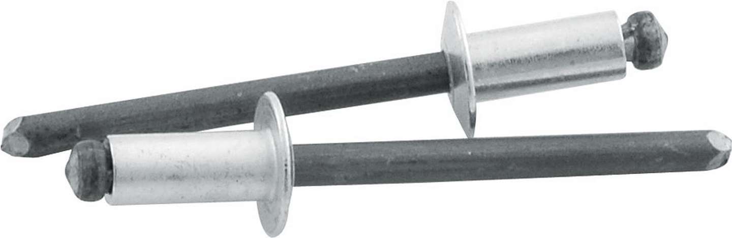 Allstar Performance ALL18101 Sm Hd Rivet Silver 250pk Allstar Performance ALL18101