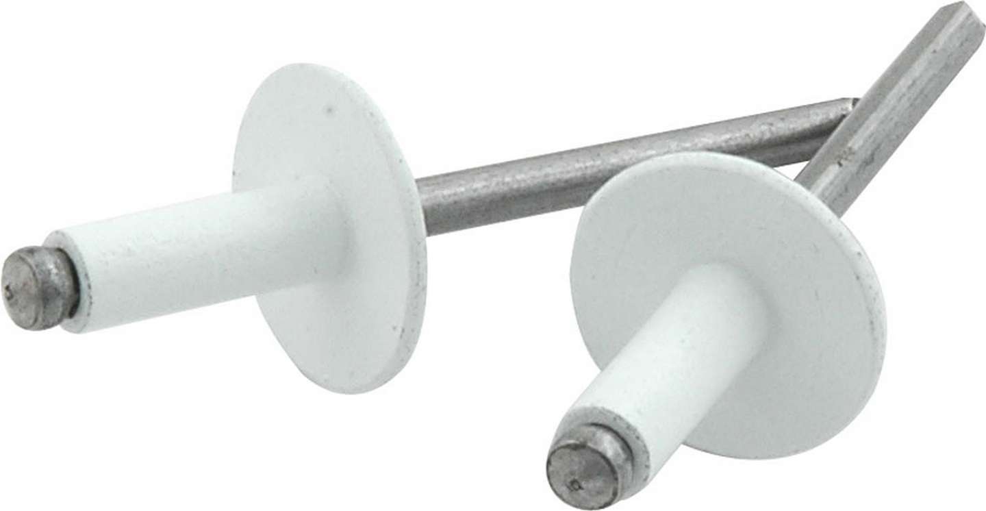 Allstar Performance ALL18156 Lg Hd Rivet 250Pk White Allstar Performance ALL18156