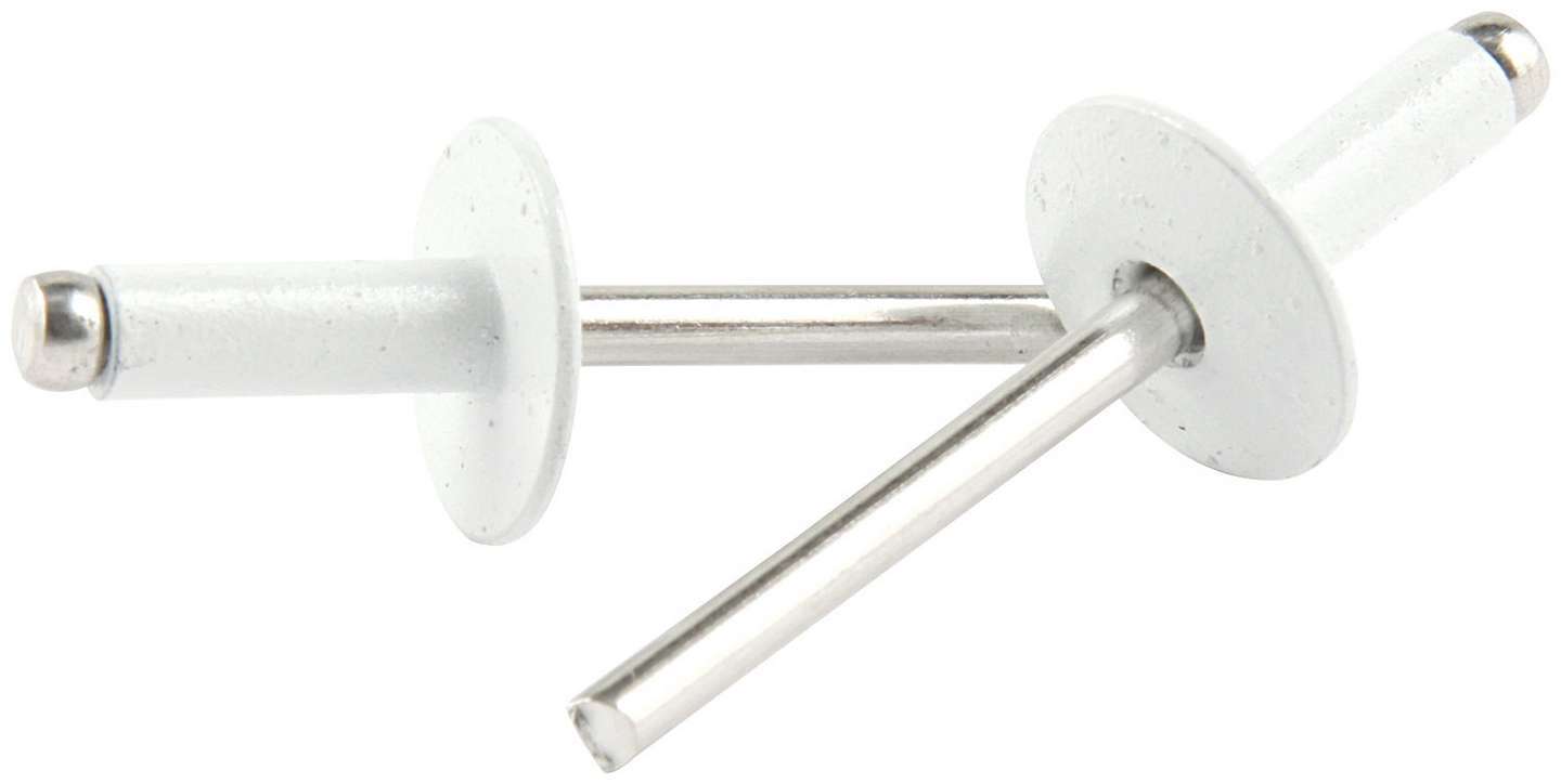 Allstar Performance ALL18158 Lg Hd Rivet White Alum 250pk Allstar Performance ALL18158