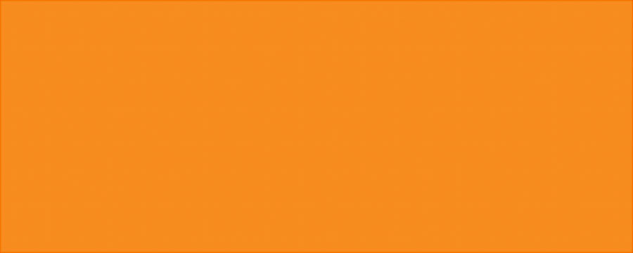Allstar Performance ALL22244 Aluminum Vib Orange/Vib Orange 4x10 Allstar Performance ALL22244