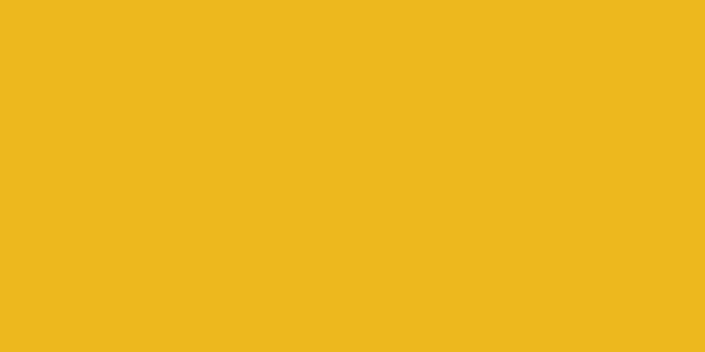 Allstar Performance ALL22466 4x8 Plastic Yellow .100in Allstar Performance ALL22466