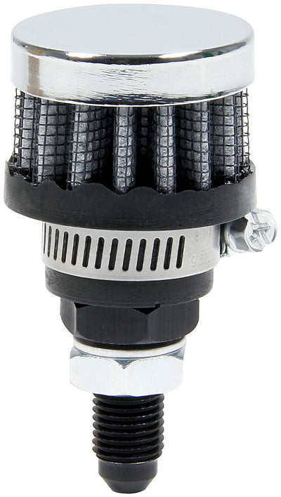 ALL36145.jpg
