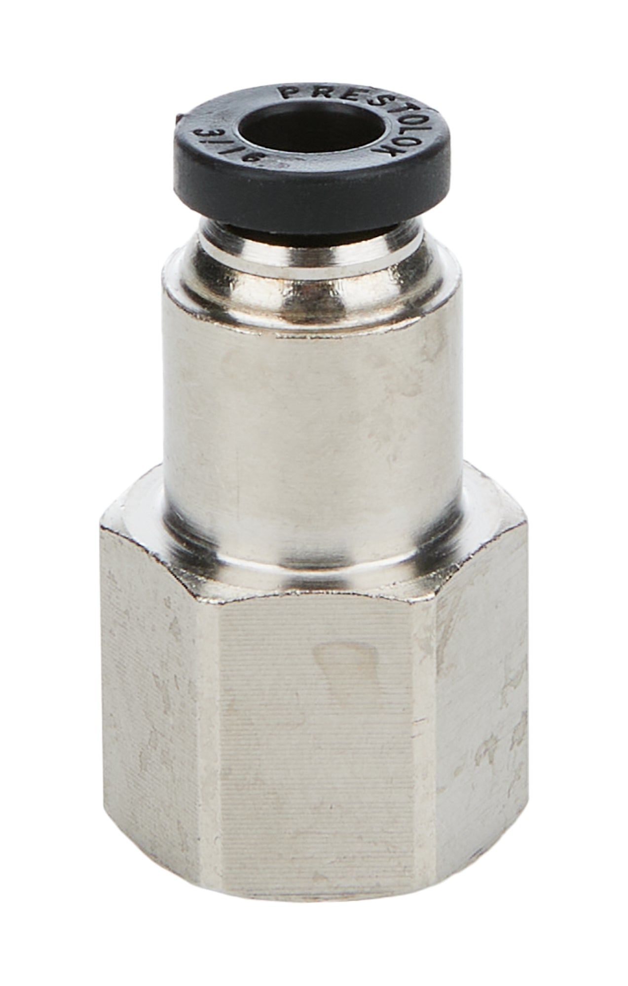 Allstar Performance ALL48021 1/8 NPT Female to P/L Hose Allstar Performance ALL48021
