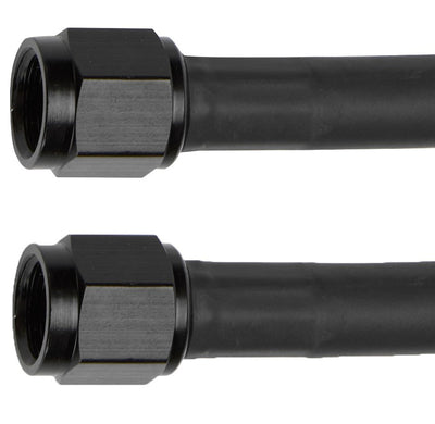 ALL48351.jpg