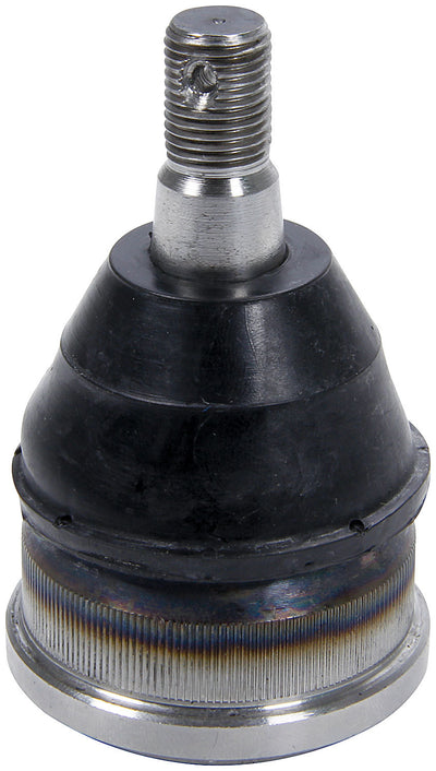 ALL56218-10.jpg