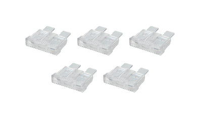 ALL76368.jpg
