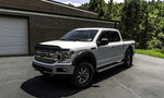 AVSAVS_AeroskinII_2018FordF150_Lifestyle_436096_U.jpg