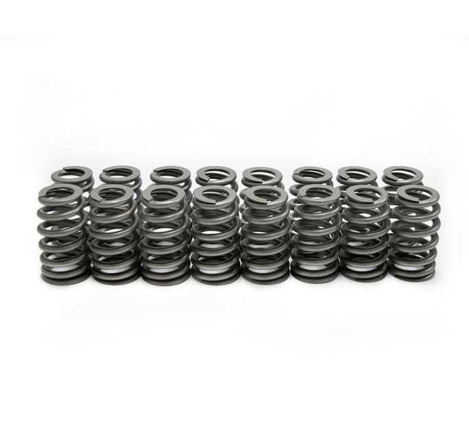 Brian Tooley Racing SP011-16 LS6 Beehive Springs .560 Lift (16) Brian Tooley Racing SP011-16