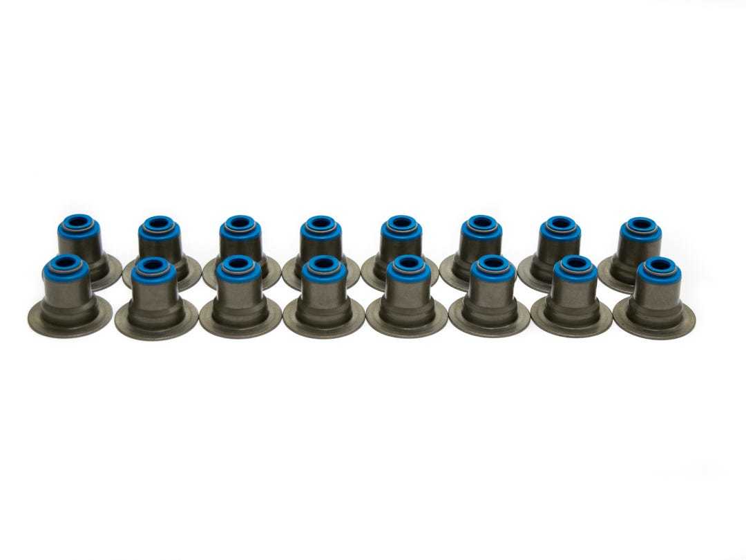 Brian Tooley Racing VS LS HAT KIT Valve Seal Set of 16 2001+ LS Brian Tooley Racing VS LS HAT KIT