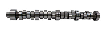 CAL270-009.jpg