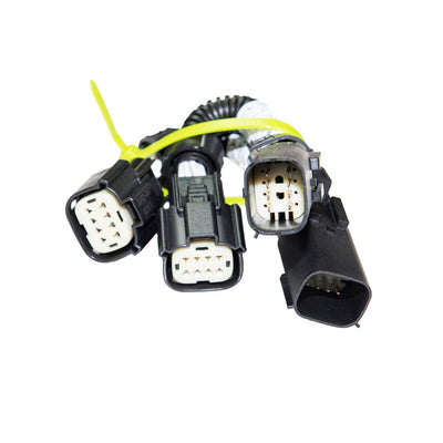 CAS-104322-1.jpg