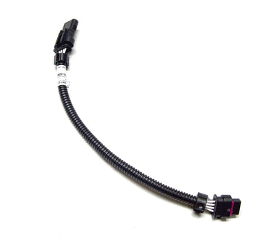 CAS-109264-2.jpg
