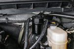 CC0001_b_lowres.jpg