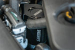 CC0003_b_lowres.jpg