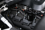 CC0004_b_lowres.jpg