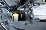 CC0014_b_lowres.jpg
