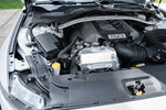 CC0014_c_lowres.jpg