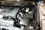 CC0020_b.jpg