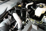 CC0020_c.jpg