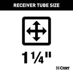 CUR-11675_02.jpg