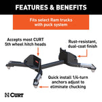 CUR-16021_02.jpg