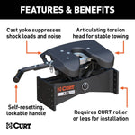CUR-16580_02.jpg