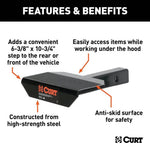 CUR-31001_02.jpg