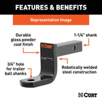 CUR-45016_02.jpg