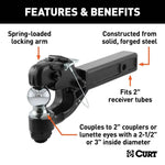 CUR-48007_02.jpg
