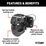 CUR-48215_02.jpg