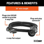 CUR-55515_02.jpg