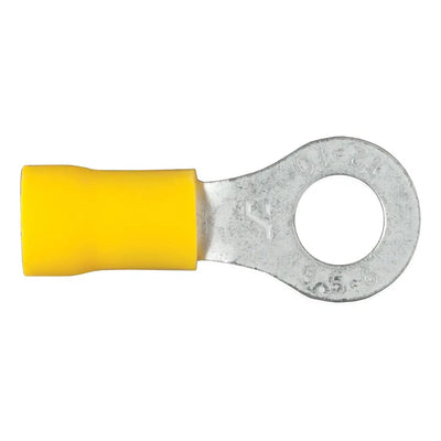 CUR-59534_01.jpg